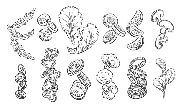 sliced vegetables, lettuce and greens Flying or falling sliced vegetables, lettuce and greens. Sketch of tomatoes, arugula, olives, cucumbers, peppers, broccoli, etc. Engraved chopped vegetables for healthy cooking vector illustration engraving food onion engraved image stock illustrations