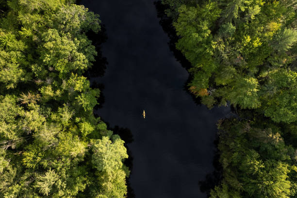 istock New Hampshire: Aerial View of a River in a Forest With Kayaker 1399082777