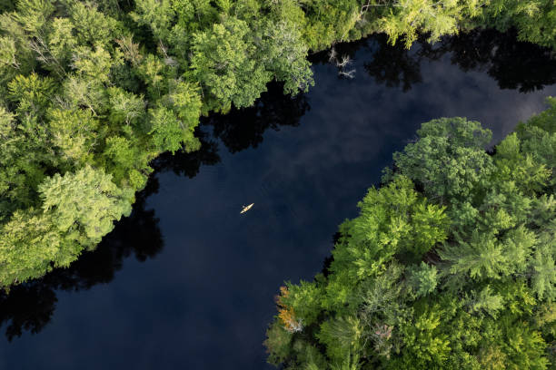 istock New Hampshire: Aerial View of a River in a Forest With Kayaker 1399083083