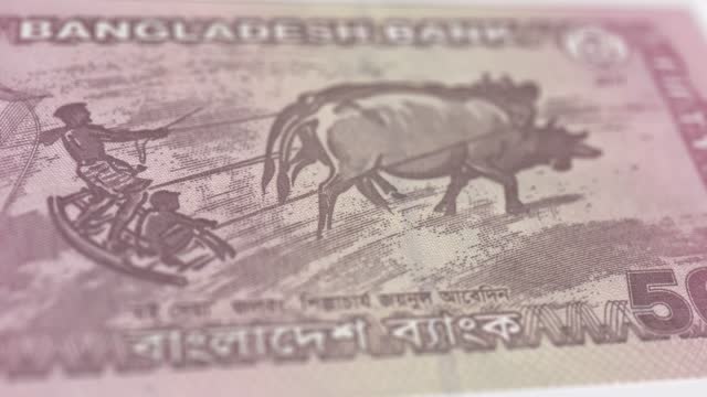 Banknotes of the Bangladesh 50 Taka Observe and Reserve Side Close up of a Tracking Dolly Shot 50 Bangladesh Notes Current 50 Bangladesh Takas Banknotes 4k Resolution stock video - Bangladesh Money Currency Background Financial Inflation