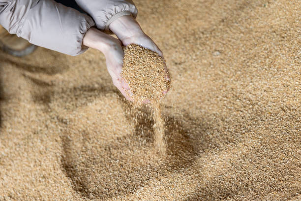 istock Farmer holding scoop of soybean husk 1399086104