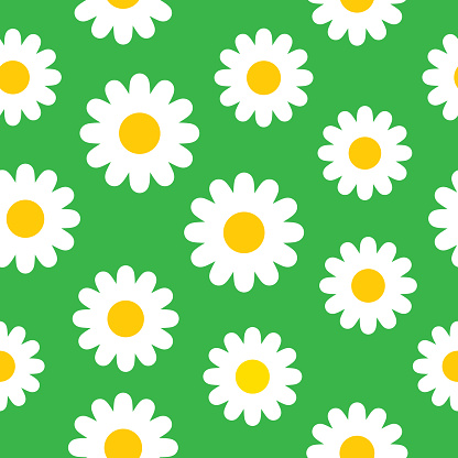 Vector seamless pattern of white and yellow daisies on a green background.