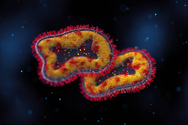 Monkeypox Cells Monkeypox Virus. 3D Render mpox stock pictures, royalty-free photos & images