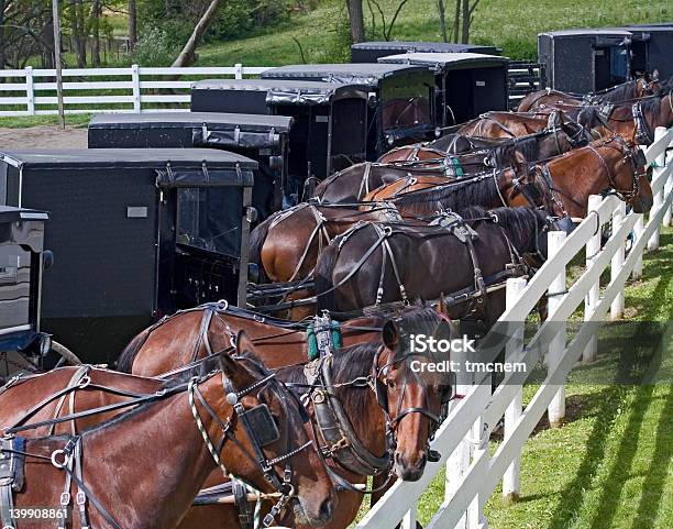 Amish Parque De Estacionamento - Fotografias de stock e mais imagens de Amish - Amish, Carruagem, Amarrado