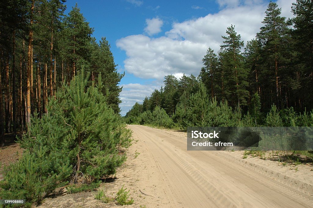 Sandy road - Foto de stock de Amarelo royalty-free