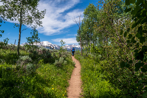 Two senior women hiking through an aspen grove on a footpath, during the summer, in the Colorado Rocky Mountains.