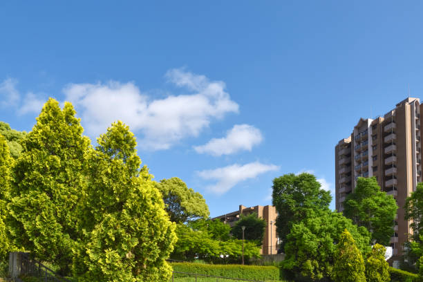 Fresh green trees and apartments. Japan's residential area, suburbs of Tokyo.