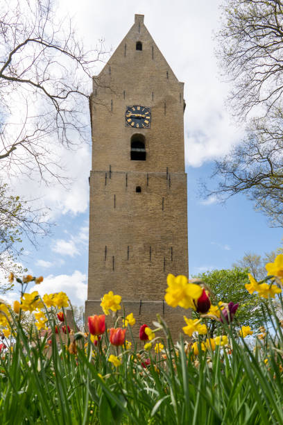 istock Tulpen voor kerk op Nes 1399089919