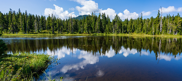 Paradise Meadows in Strathcona Provincial Park on Vancouver Island.