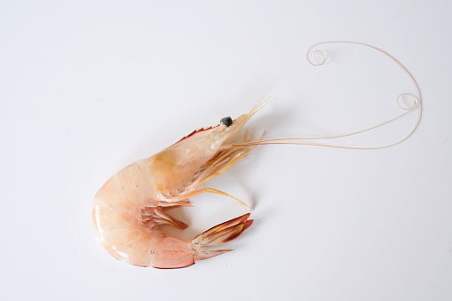 A whiteleg shrimp, Pacific white shrimp, King prawn, Penaeus vannamei isolated on white background.