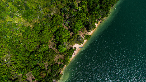 Drone view of the riparian zone in Xingu river, Amazon rainforest, Brazil
