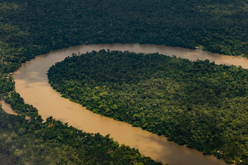 Aerial view of the curve of a river amid the forest at the Amazon, in Brazil