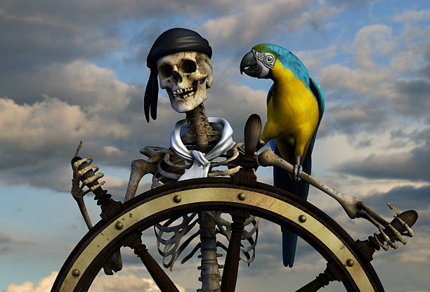 Skeleton Pirate stock photo