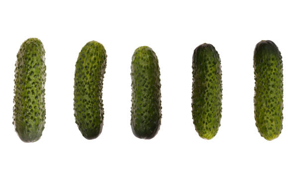 istock sets of pickled cucumbers isolated on white 1399101229