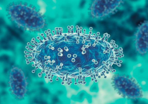 das affenpockenvirus ist eine pockenähnliche virusinfektion, die vom tier auf den menschen übertragen wird - krankheitserreger stock-fotos und bilder