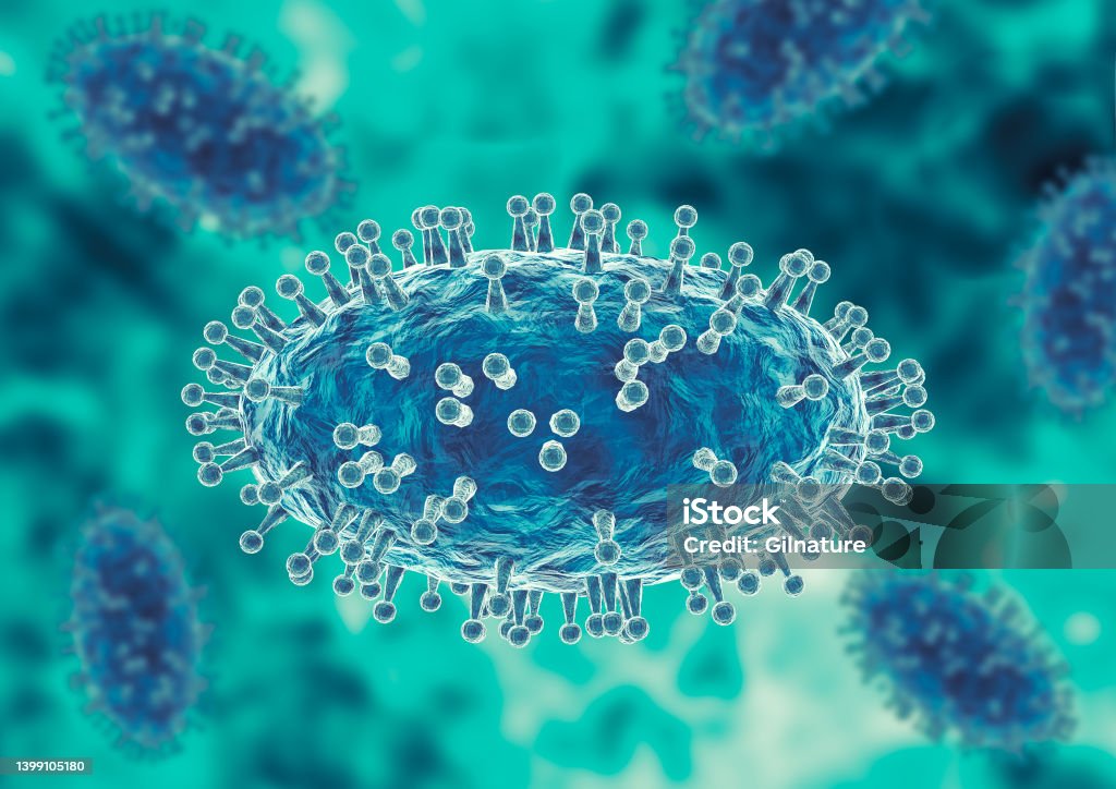Monkeypox virus is a smallpox-like viral infection transmitted from animals to humans Monkeypox virus is a smallpox-like viral infection transmitted from animals to humans. 3D illustration Mpox Stock Photo