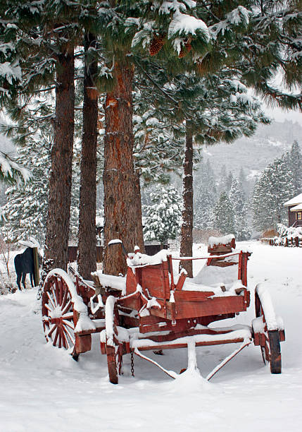 Wagon in the Snow An old wagon covered in snow in the Southern Sierra Nevada Mountains. covered wagon horse cart snow winter stock pictures, royalty-free photos & images