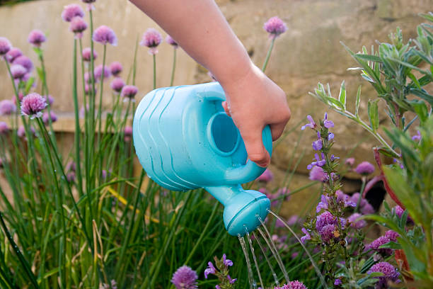 istock Childs hand with watering can 139910701