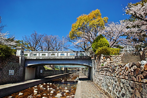 Midoribashi, Shukugawa Park in Spring, Nishinomiya City, Hyogo Prefecture - 2022/04/04