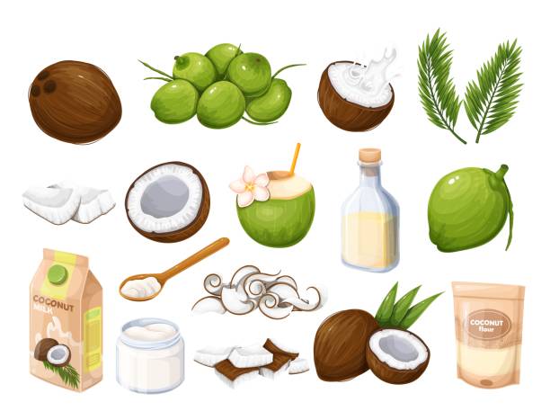 ilustraciones, imágenes clip art, dibujos animados e iconos de stock de productos de coco - coconut flakes