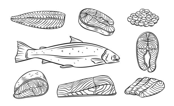 연어 전체 붉은 물고기 개요 - fillet stock illustrations