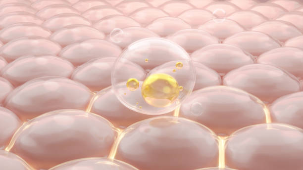 istock Bubble serum drop on collagen cells 1399114419