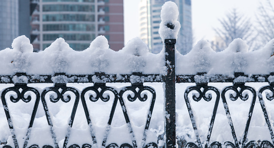 Iron fence covered with snow.snow scene