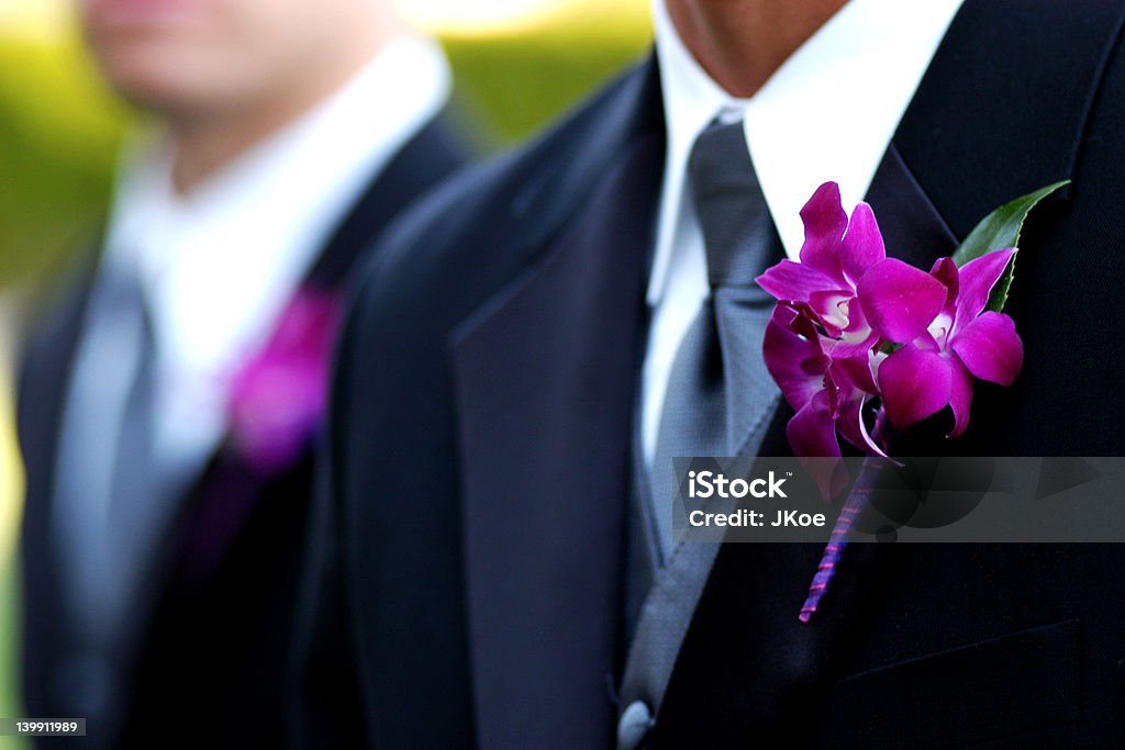 Roxo tuxedo - Foto de stock de Flor na lapela royalty-free