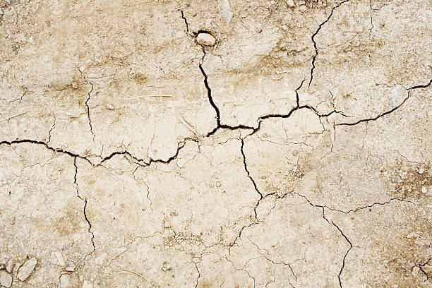 Cracked dried earth stock photo