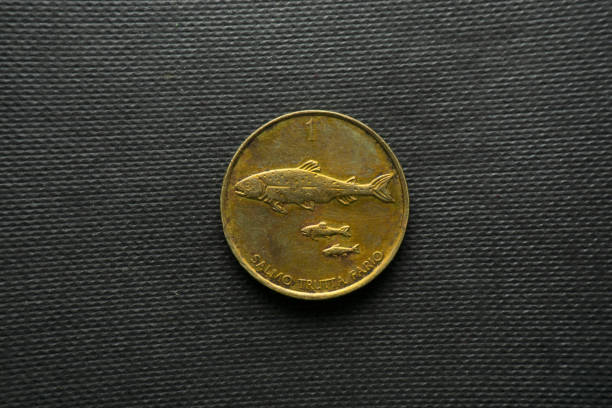 istock 1 Slovenia Tolar, Back view, Brass 1399121391