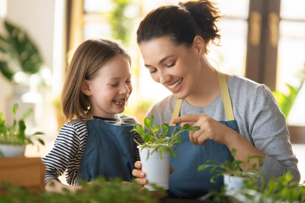 istock Family caring for plants 1399123813