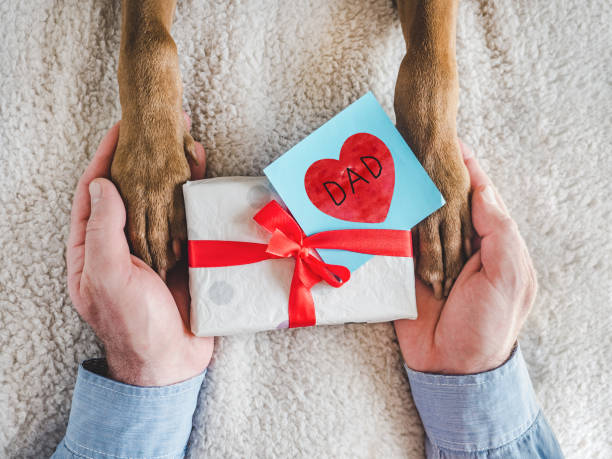 istock Dog paws, male hands and gift box 1399127584