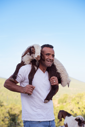 Portrait of a mid-age farmer holding a sheep on his shoulders outdoors.