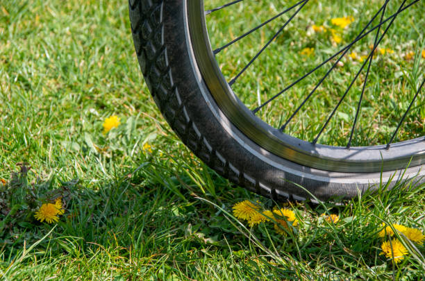 istock Bike wheel on the grass 1399129407