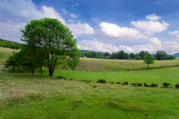 istock beautiful rural landscape. Summer day. Croatia. 1399129867