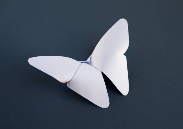 istock White paper butterfly origami isolated on a grey background 1399130995