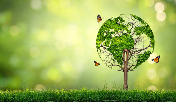 istock A tree with leaves of the world map, concept, environment, save the world 1399133129