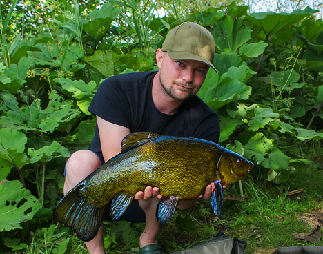 Happy angler holder a Large Tench caught while fishing. THe Tench is also known as Tinca Tinca or the Doctor fish and is very common in European lakes and rivers.
