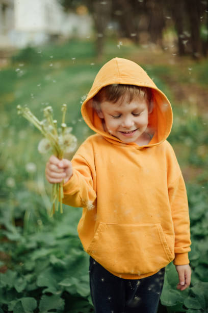istock A little boy in a yellow sweatshirt blows on a bouquet dandelions. 1399135465