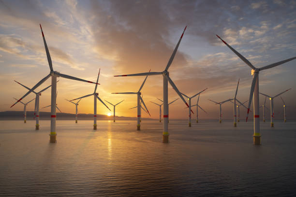 Offshore wind farm during sunrise Offshore wind farm during sunrise offshore wind farm stock pictures, royalty-free photos & images