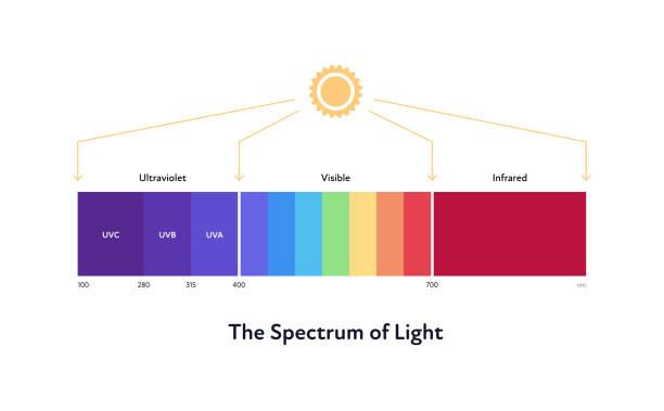 ilustraciones, imágenes clip art, dibujos animados e iconos de stock de espectro solar de luz. ilustración plana vectorial. color ultravioleta a infrarrojo. símbolo del icono del sol sobre fondo blanco. - luz ultra violeta