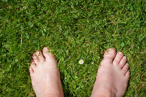 Woman, green, top view, summer, blossom, toes