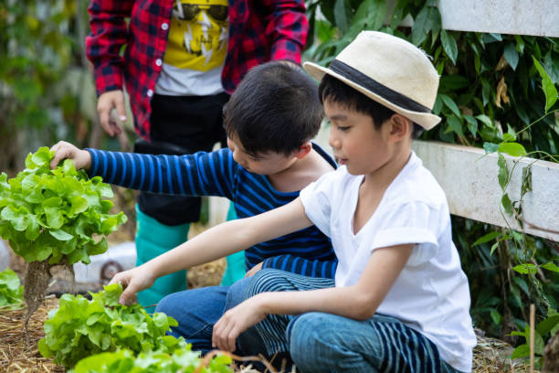 istock Farm living 1399138777