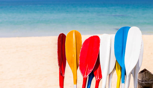 istock Colorful oars with beach background, water sport 1399146457