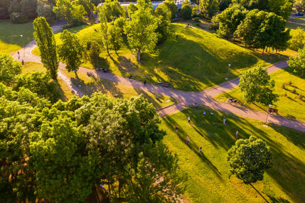 istock Fresh green public park in spring afternoon 1399149362