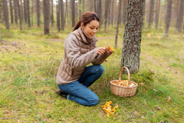 istock young woman picking mushrooms in autumn forest 1399149652