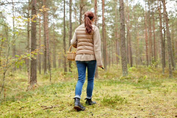 istock young woman picking mushrooms in autumn forest 1399149976