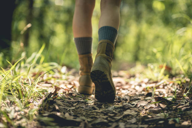 istock Woman hiker hiking on forest trail 1399150669