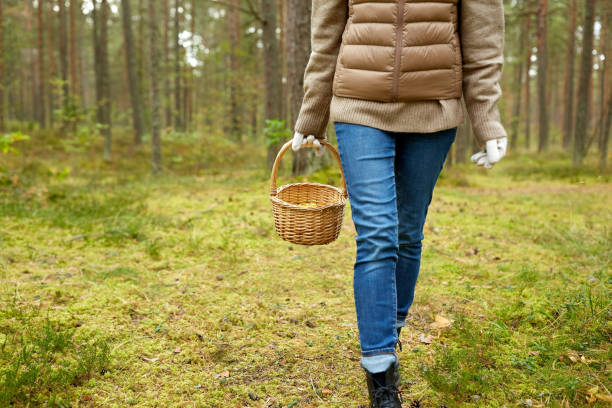 istock young woman picking mushrooms in autumn forest 1399150768