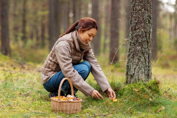 istock young woman picking mushrooms in autumn forest 1399152013